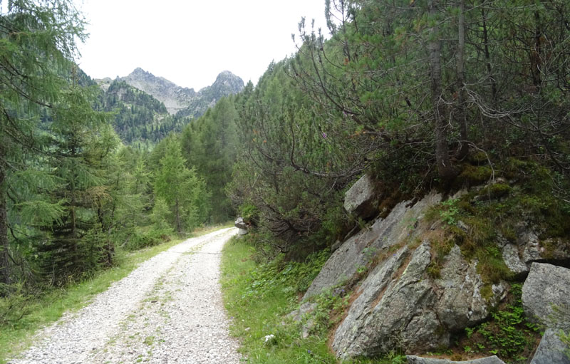 Catena dei Lagorai...da Pergine al Passo del Manghen